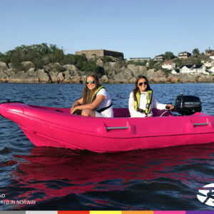 River 290 Båt uten styrekonsoll