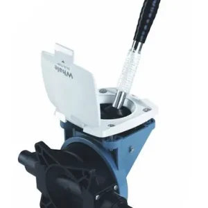 Whale Gusher Urchin Skottmontert